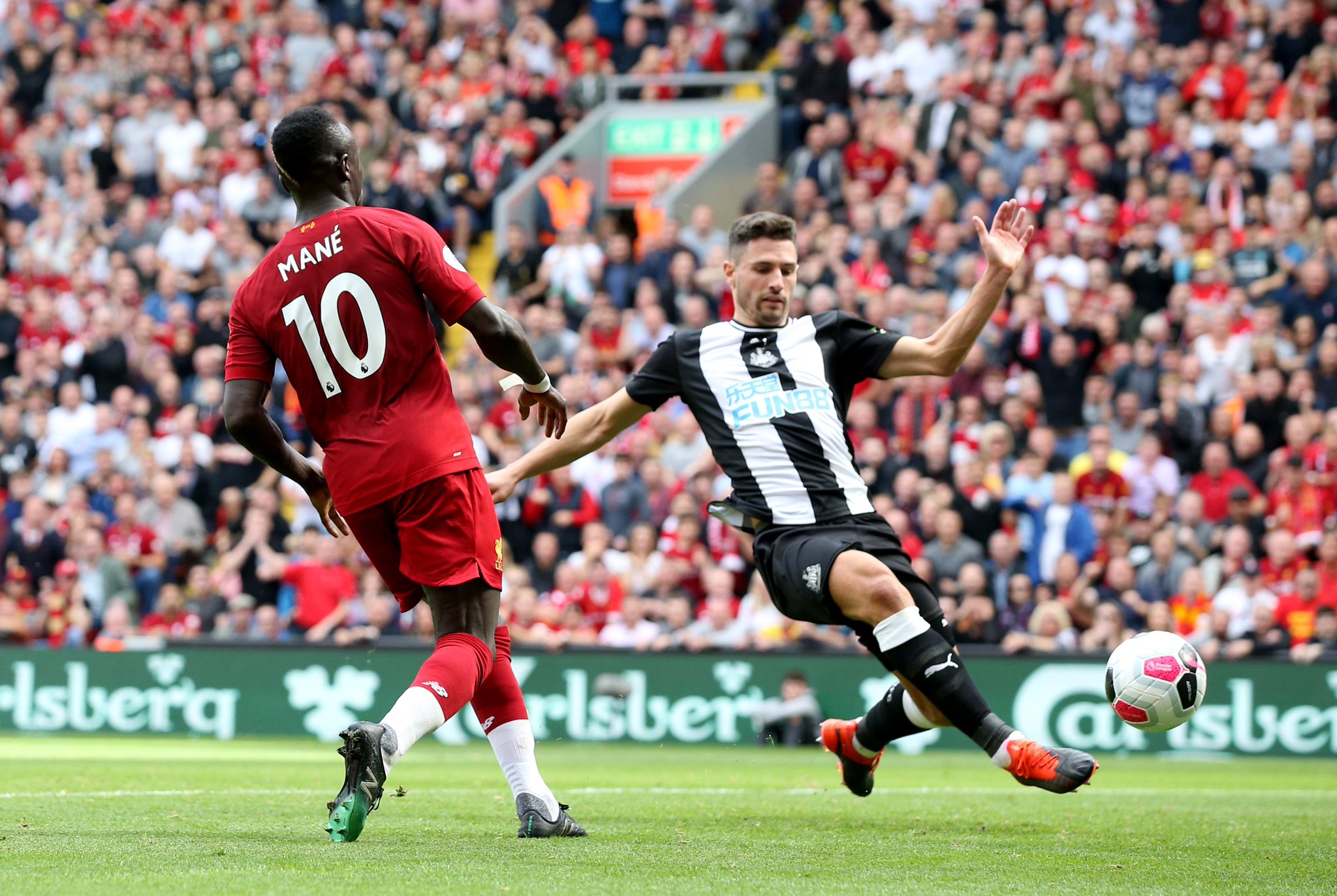 球员在热烈 球员在热烈