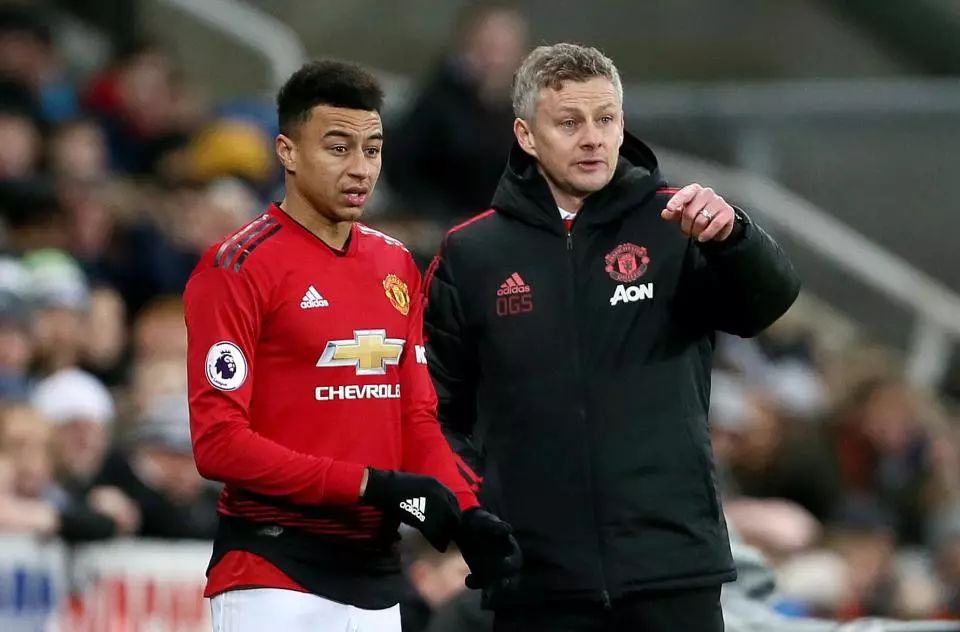 年匹克球明 年匹克球明